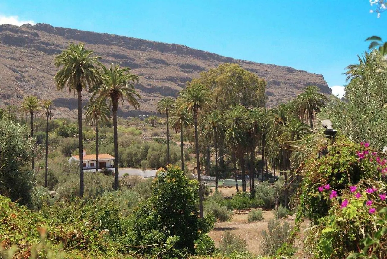 Casa Rural El Olivar La Almazara Santa Lucia De Tirajana Spain