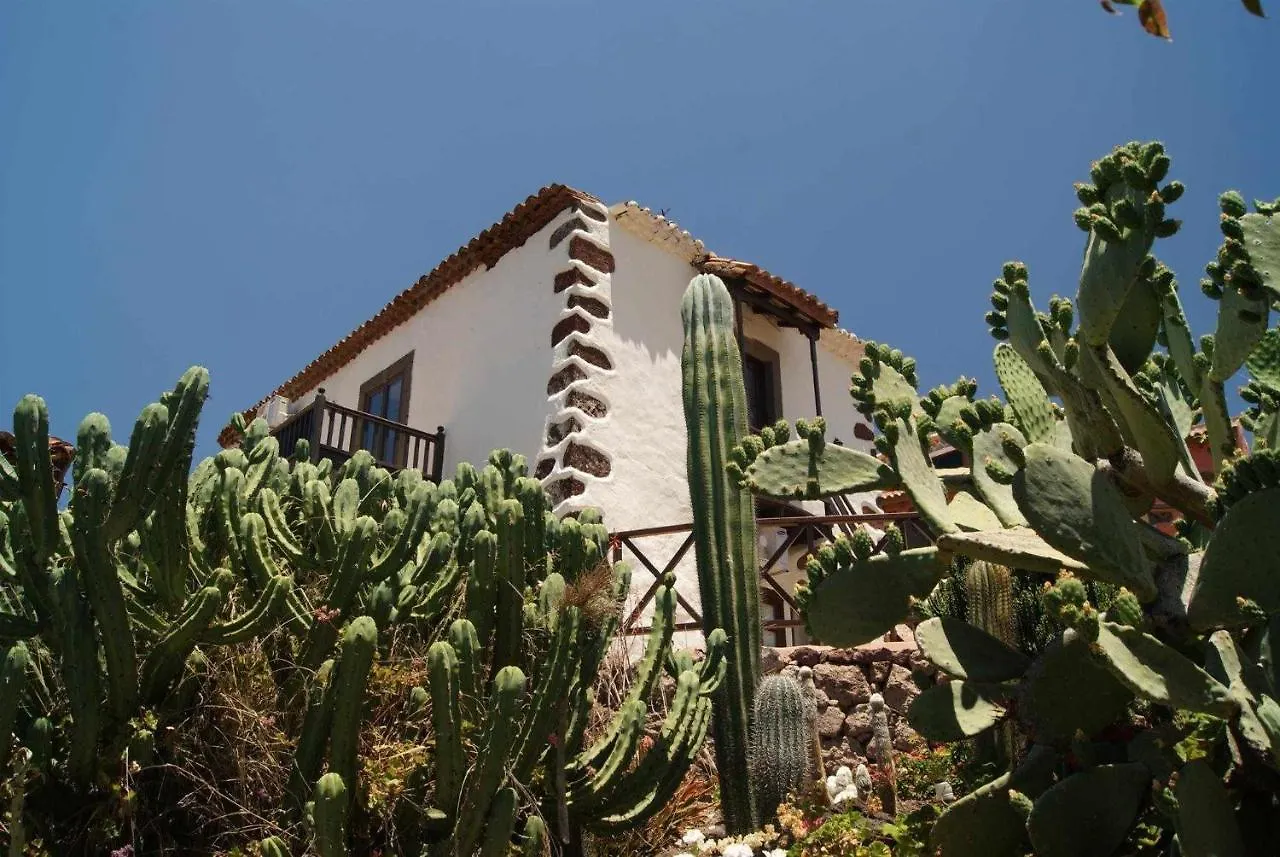 Casa Rural El Olivar La Almazara Santa Lucia De Tirajana